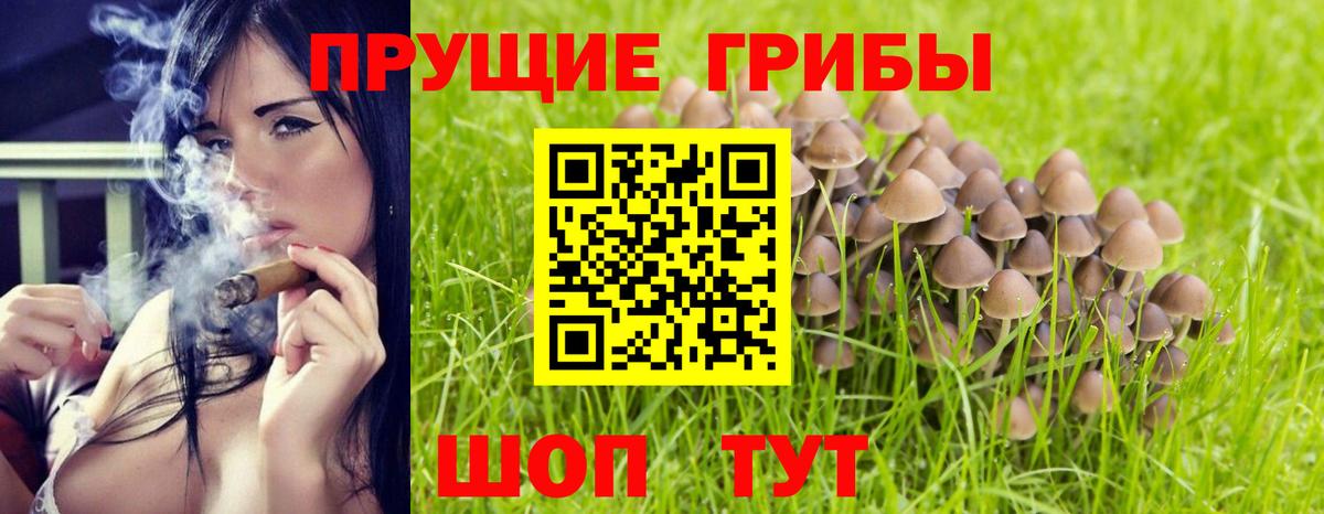 Галлюциногенные грибы Psilocybine cubensis Азов